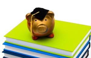 pig_on_books_2011